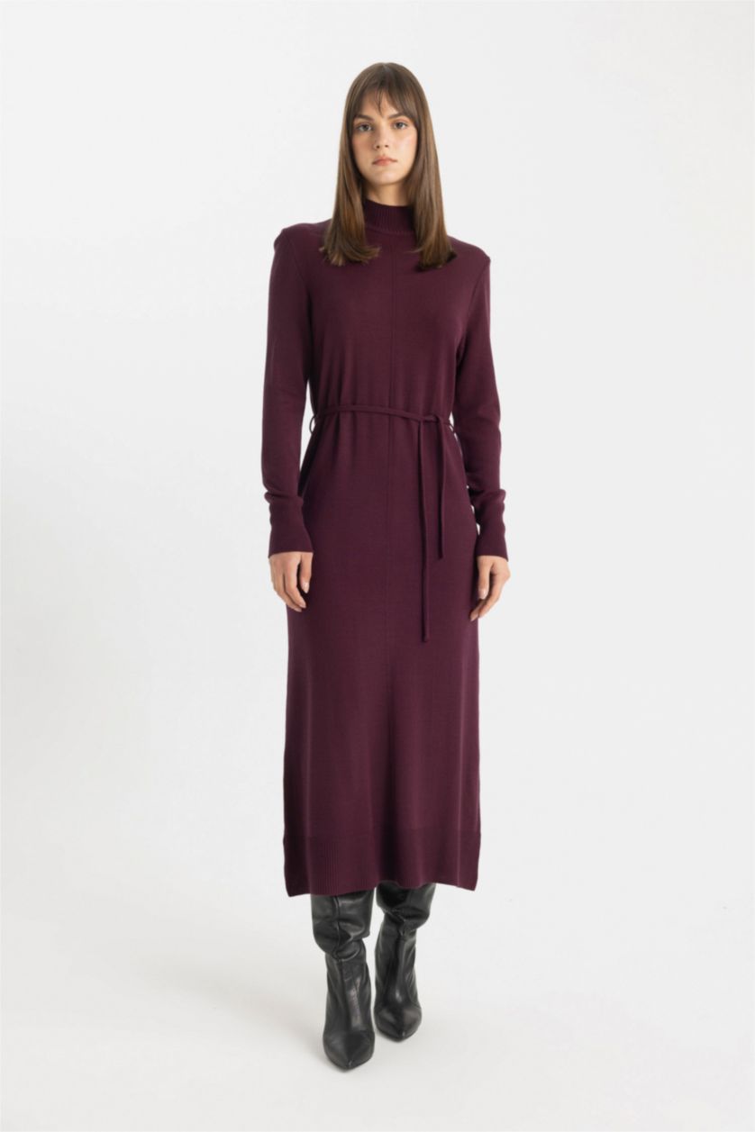 Women Bordeaux Regular Fit Half Turtleneck