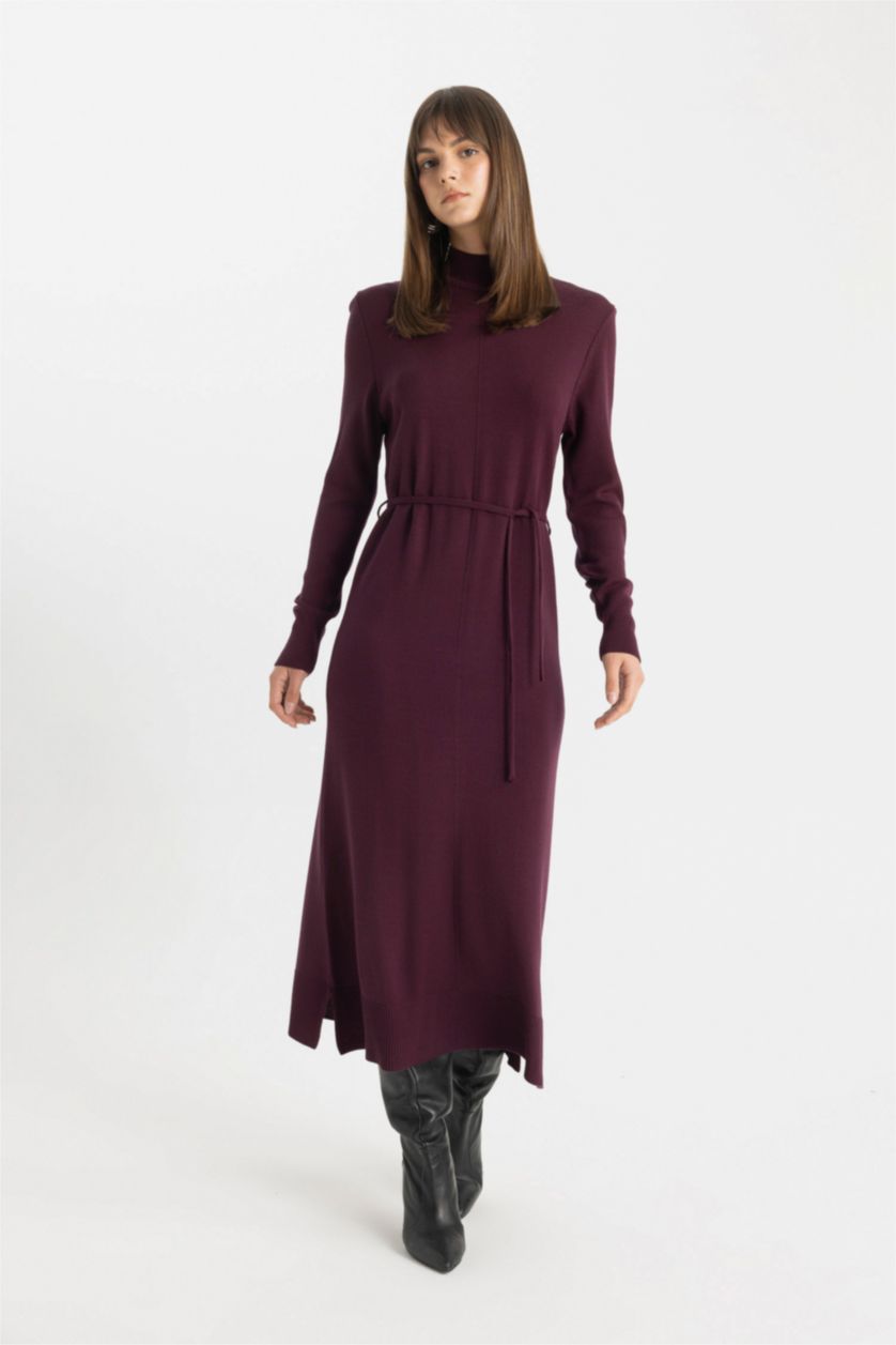 Women Bordeaux Regular Fit Half Turtleneck