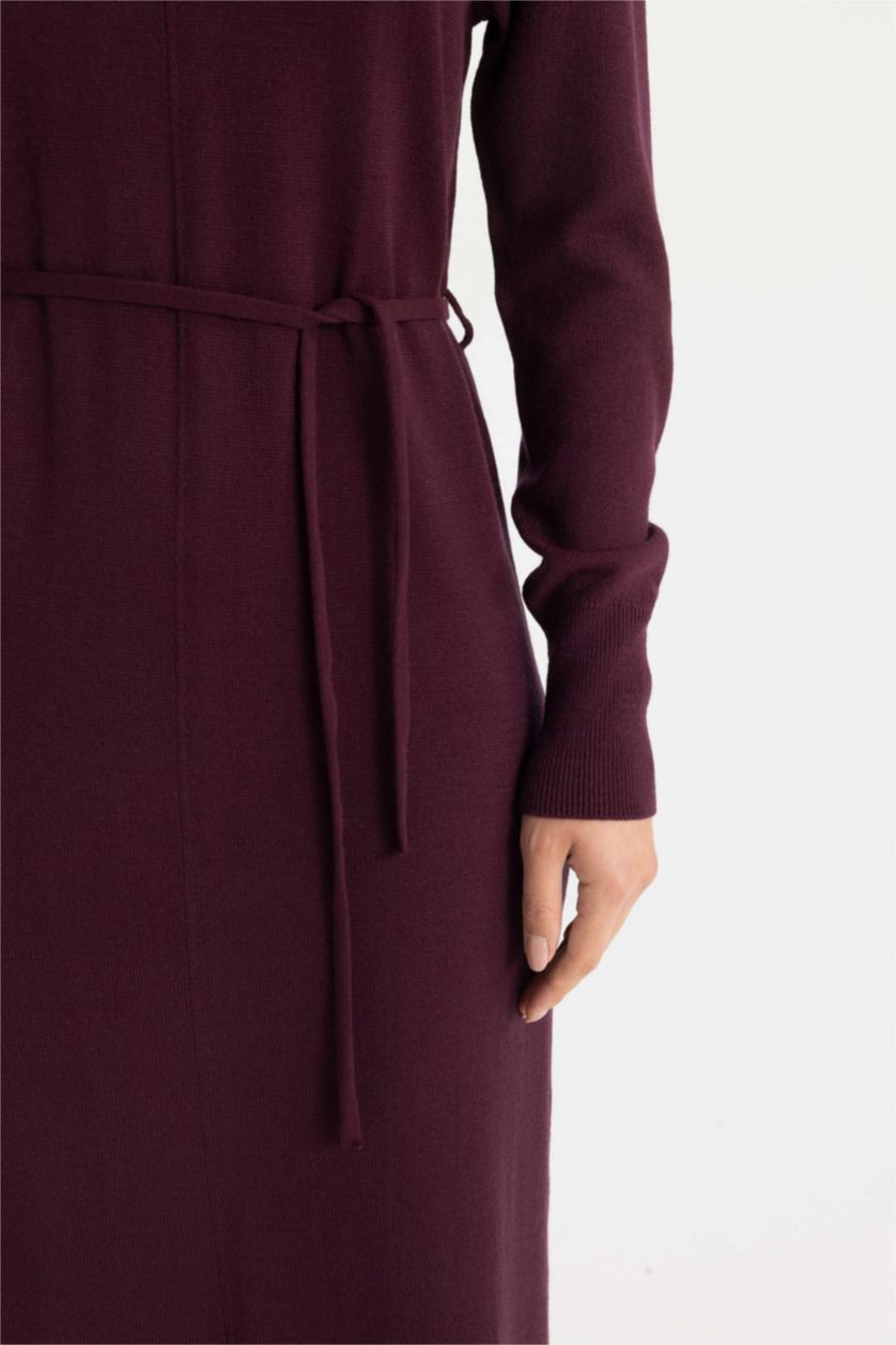 Women Bordeaux Regular Fit Half Turtleneck