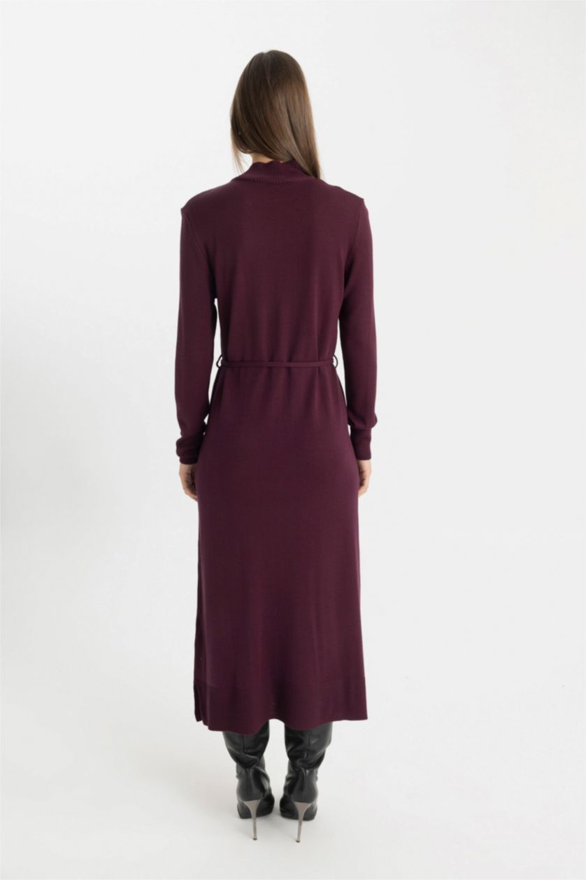Women Bordeaux Regular Fit Half Turtleneck