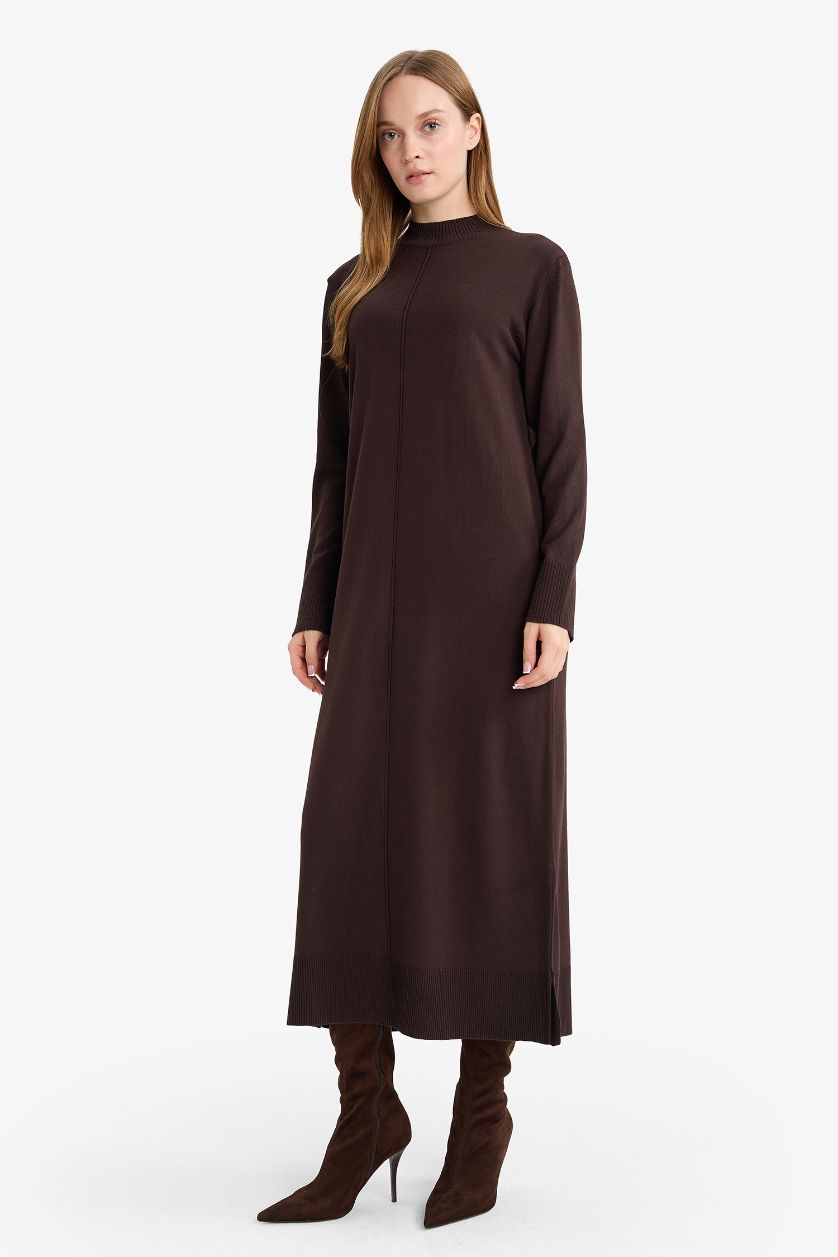 WOMAN Brown Regular Fit Half Turtleneck Dress