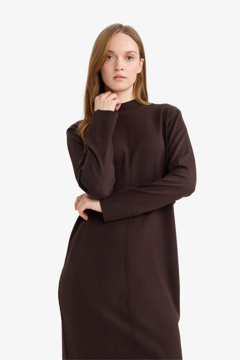 WOMAN Brown Regular Fit Half Turtleneck Dress