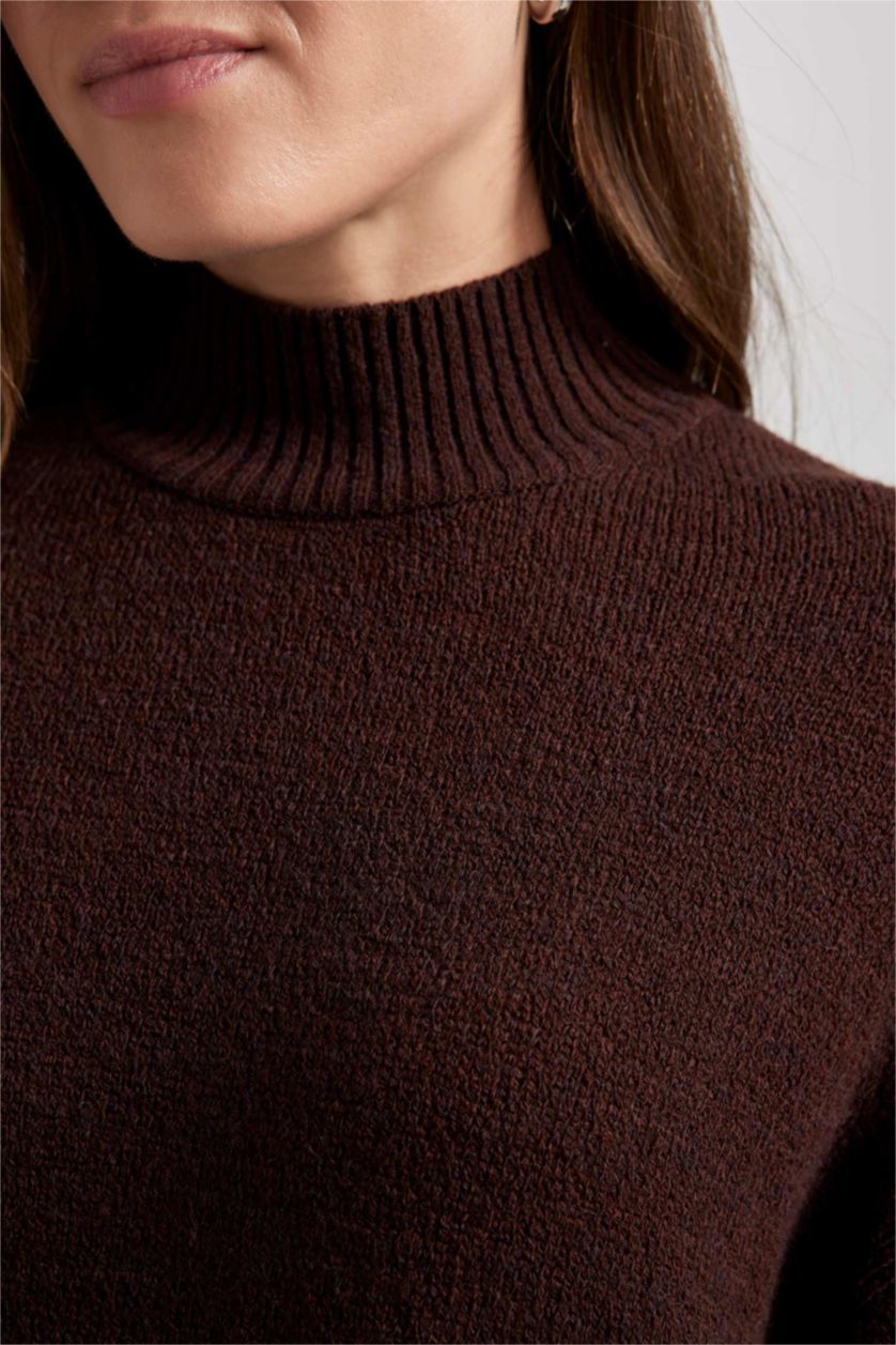 WOMAN Brown Regular Fit Stand Collar Basic Knitted Pullover Tunic