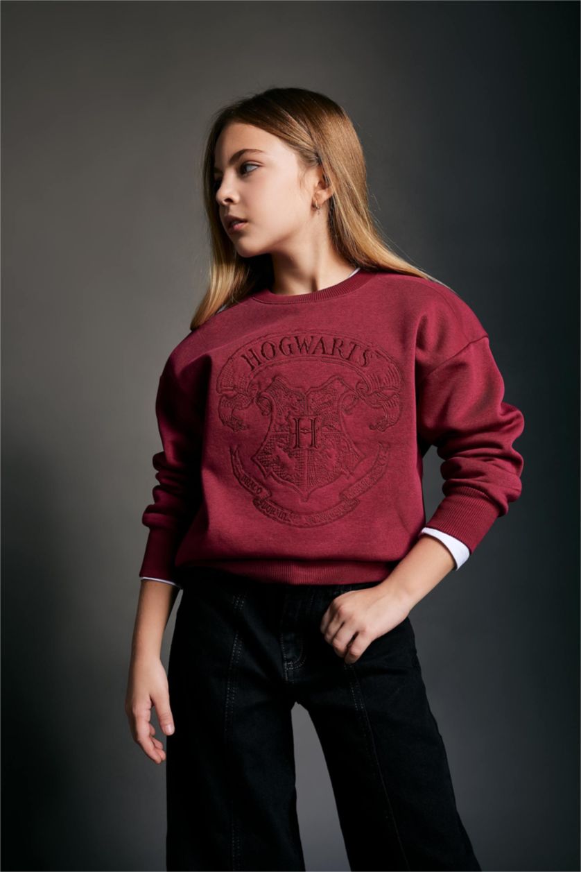 GIRLS & TEENS Bordeaux Regular Fit Harry Potter Licensed Crew Neck Sweatshirt