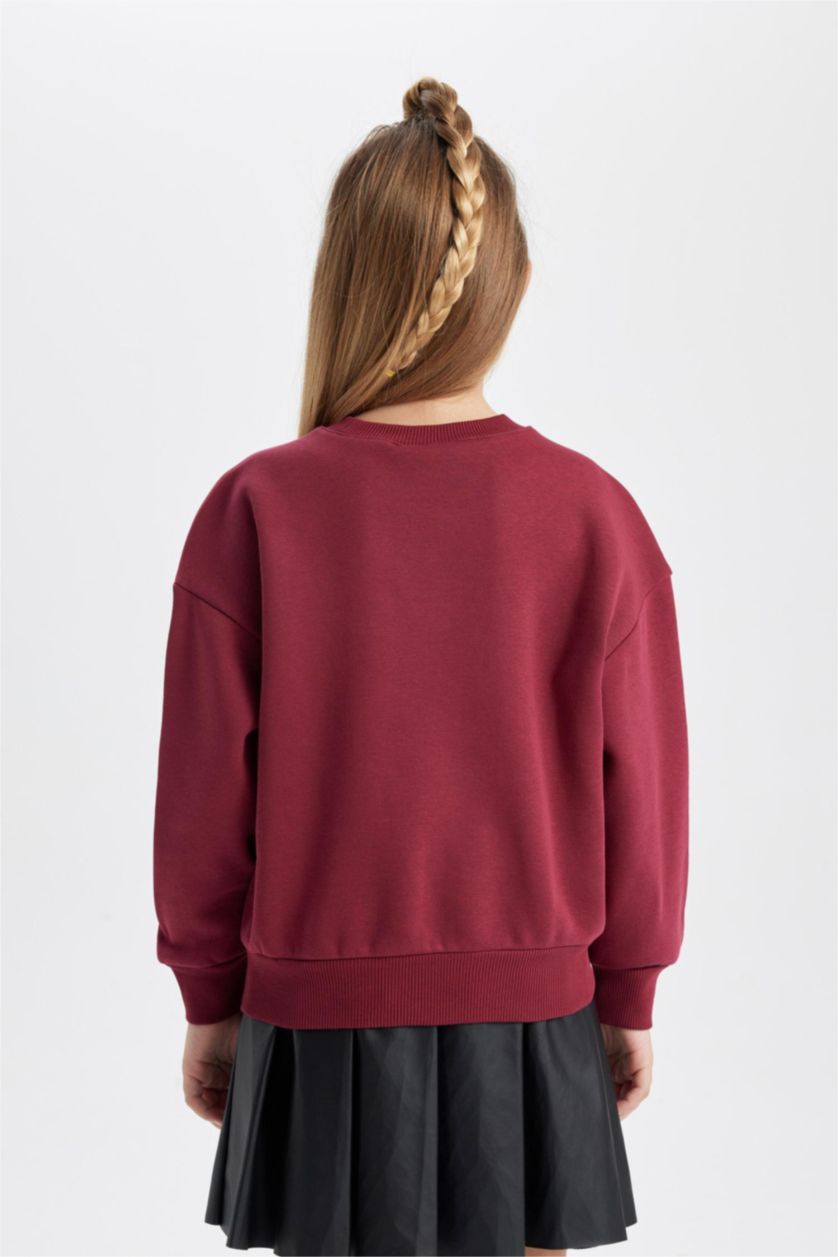 GIRLS & TEENS Bordeaux Regular Fit Harry Potter Licensed Crew Neck Sweatshirt