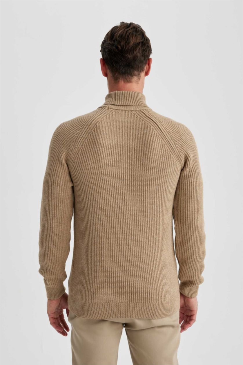 HOMME Beige Pull à Coupe Standard et Col roulé