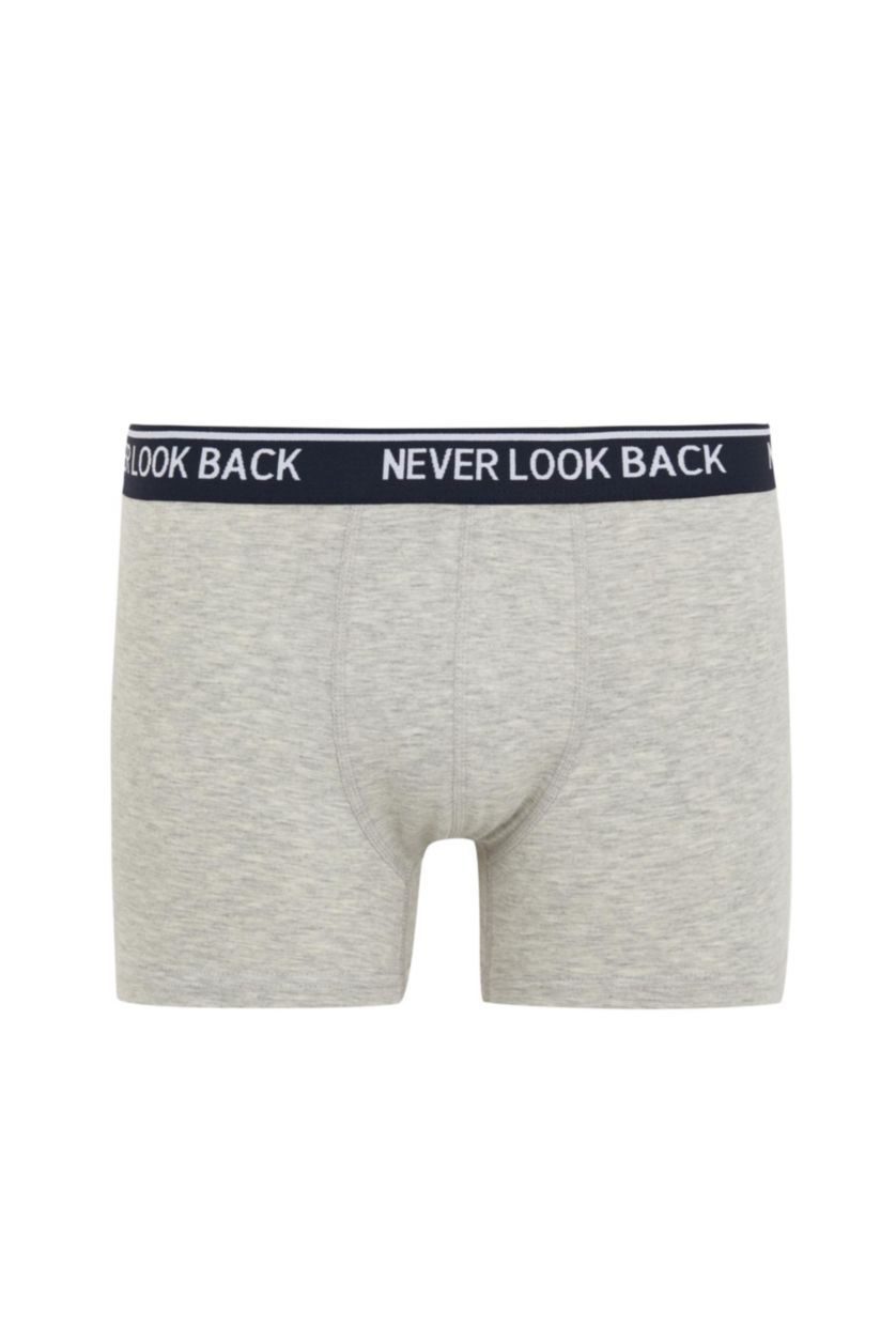 Erkek Lacivert Regular Fit 3'lü Boxer