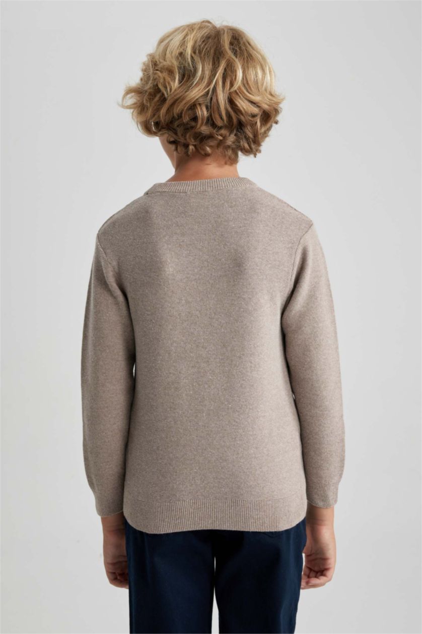 Хлопчачий Візон меланж Пуловер стандартного крою з круглим вирізом трикотажний для хлопчиків