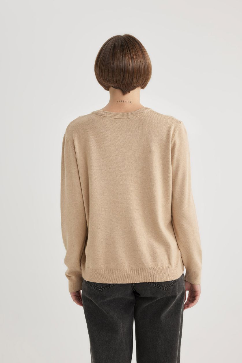 Woman Vison Regular Fit V Neck Premium Soft Wool Pullover