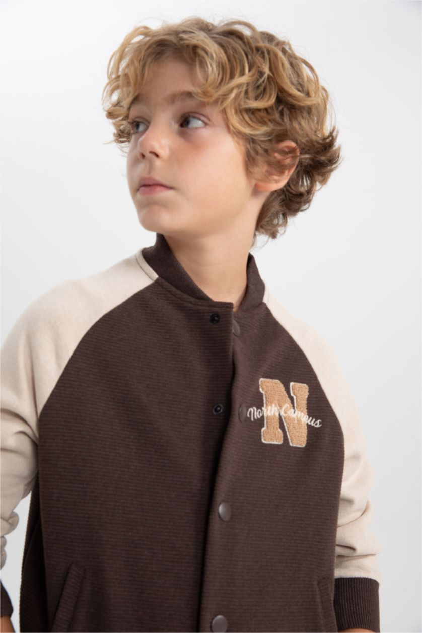 أولادي بني كارديجان اولادي قصة عادية برقبة مستديرة