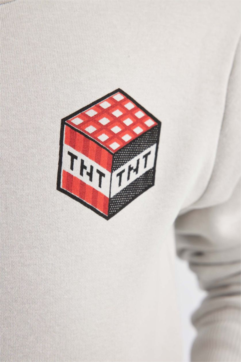 Erkek Çocuk - Genç Erkek Açık Gri Erkek Çocuk Minecraft Kapüşonlu Kalın Sweatshirt