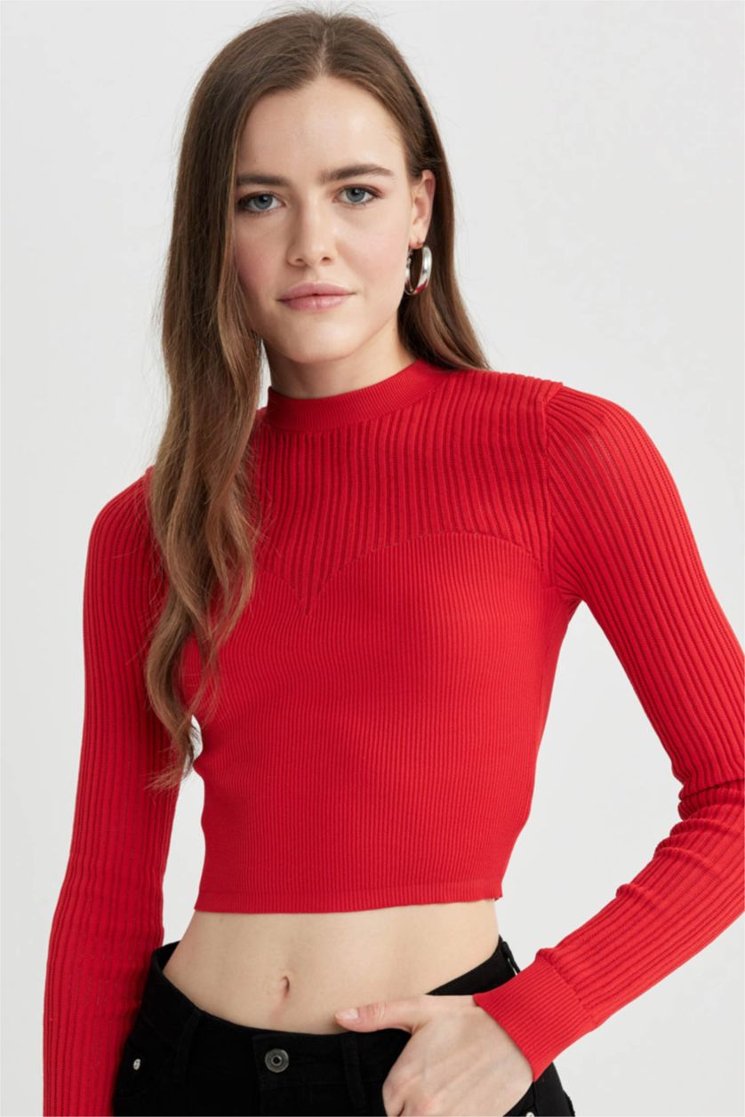 حريمي أحمر بلوفر تريكو حريمي قصة عادية برقبة مستديرة أحمر