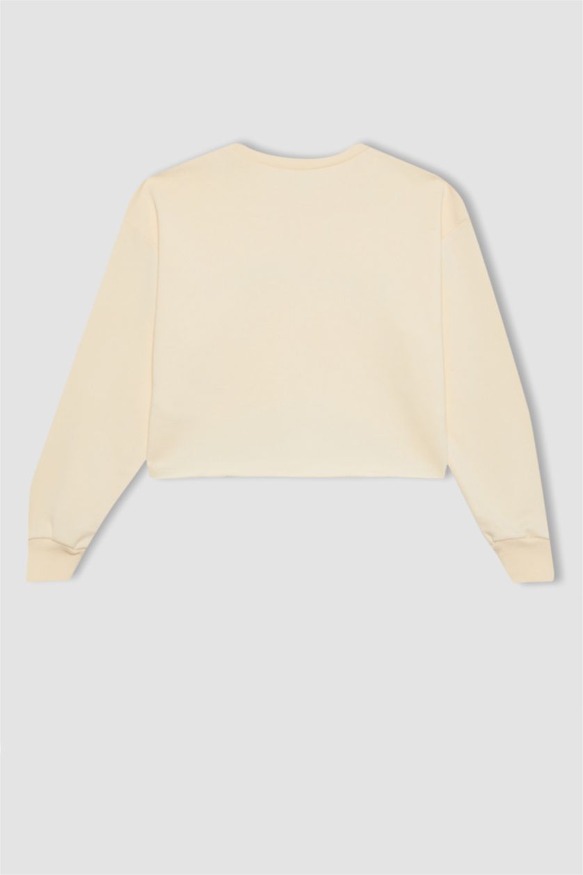 بناتي بيج فاتح سويت شيرت بناتي كروب من قطعتين