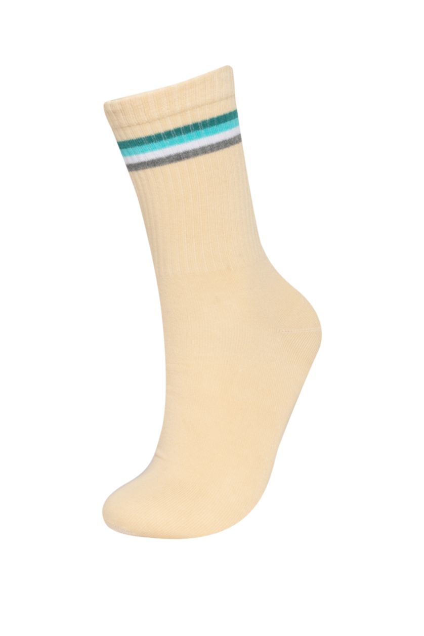 WOMAN MIXED 5 Piece Cotton Long sock