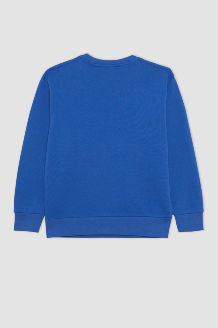 BOYS & TEENS Royal Boy Crew Neck Printed Thick Sweatshirt