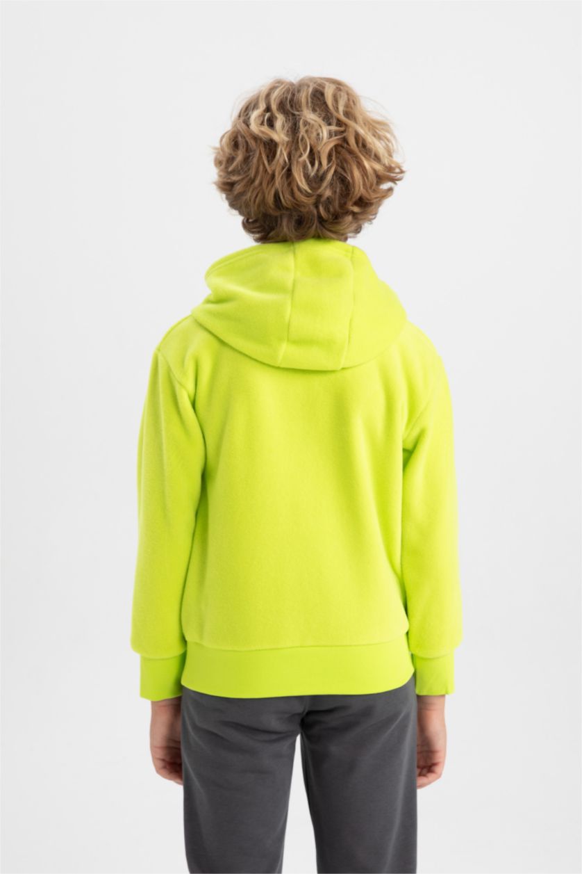 BOYS & TEENS Light Green Regular Fit Hooded Sweatshirt