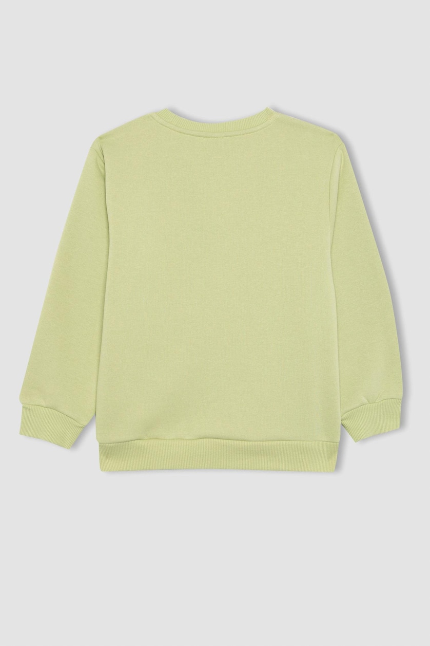 Erkek Çocuk - Genç Erkek Açık Yeşil Baskılı Kalın Sweatshirt Erkek Çocuk