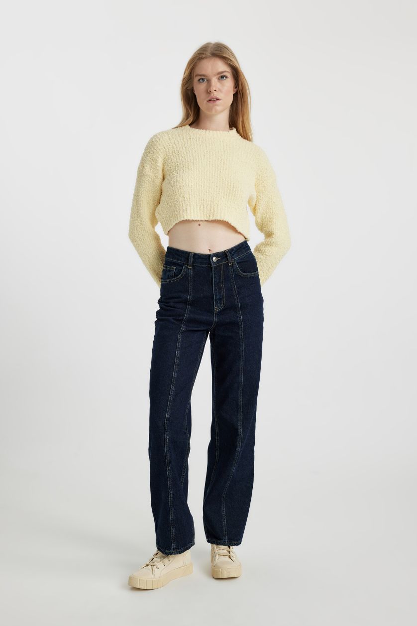 WOMAN Light Yellow Regular Fit Crew Neck Knitted Pullover