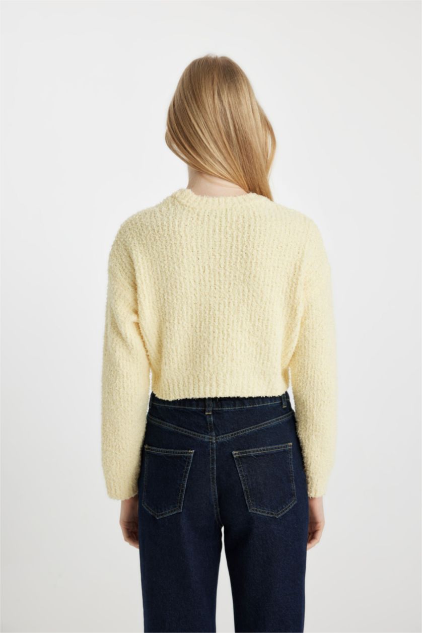 WOMAN Light Yellow Regular Fit Crew Neck Knitted Pullover