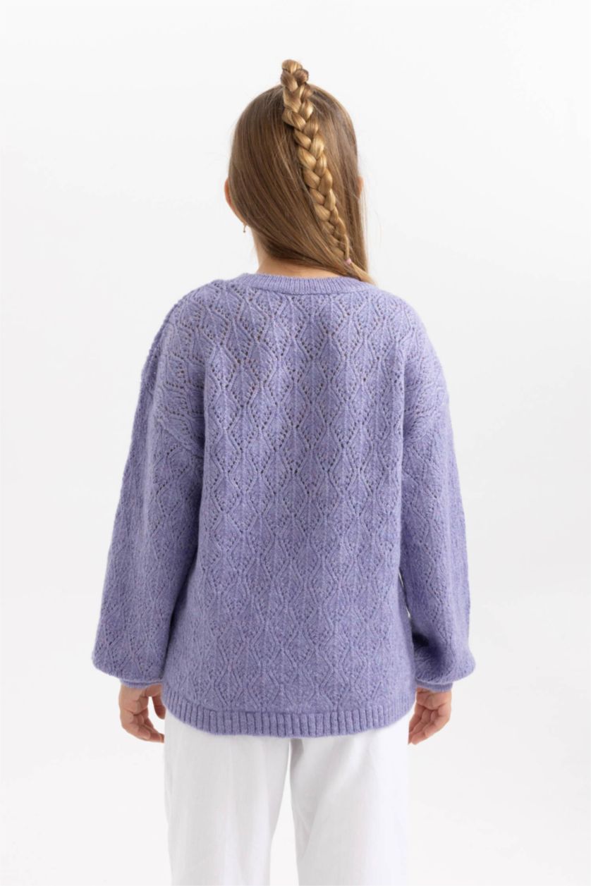 GIRLS & TEENS Lilac Girl Crew Neck Knitted Pullover