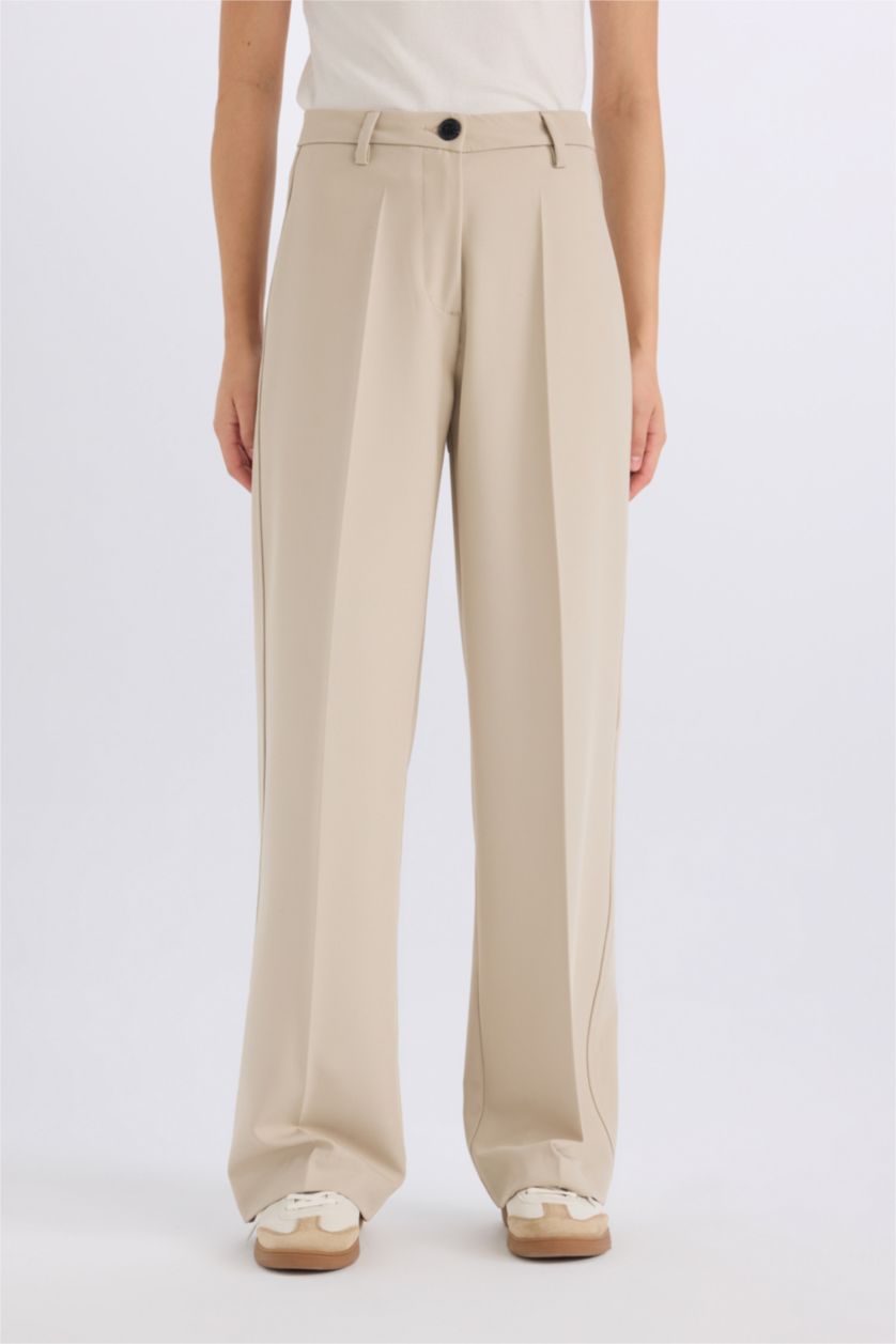 Woman Stone Wide Leg High Waist Standard Length Trousers