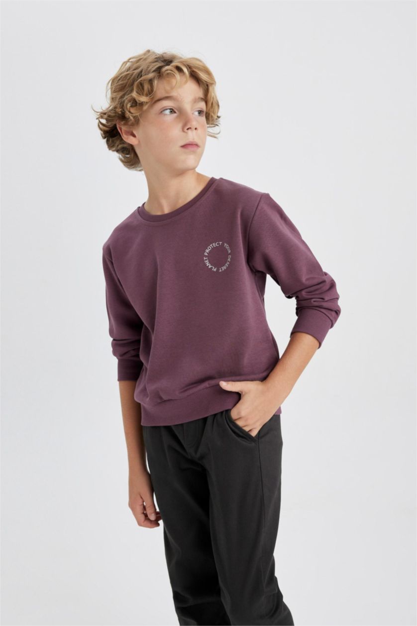 BOYS & TEENS Dark Purple Boy Crew Neck Back Printed Sweatshirt
