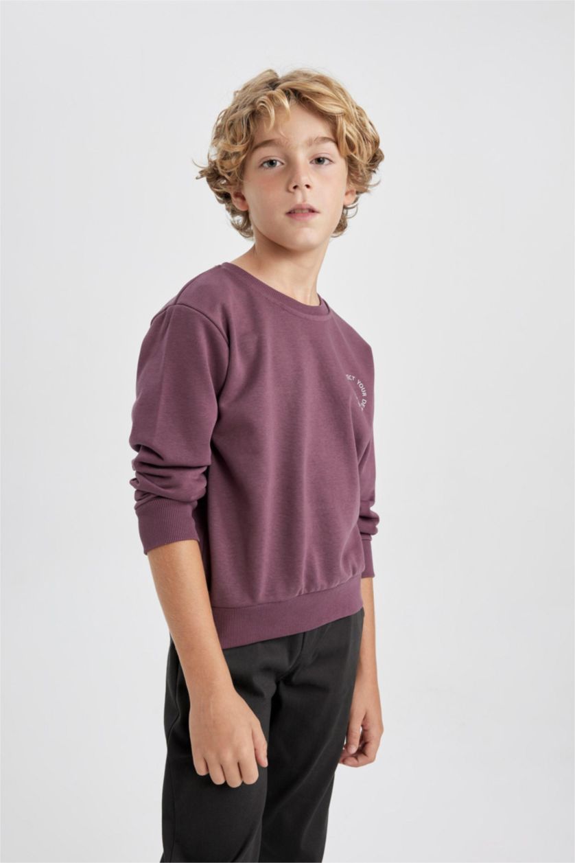 BOYS & TEENS Dark Purple Boy Crew Neck Back Printed Sweatshirt