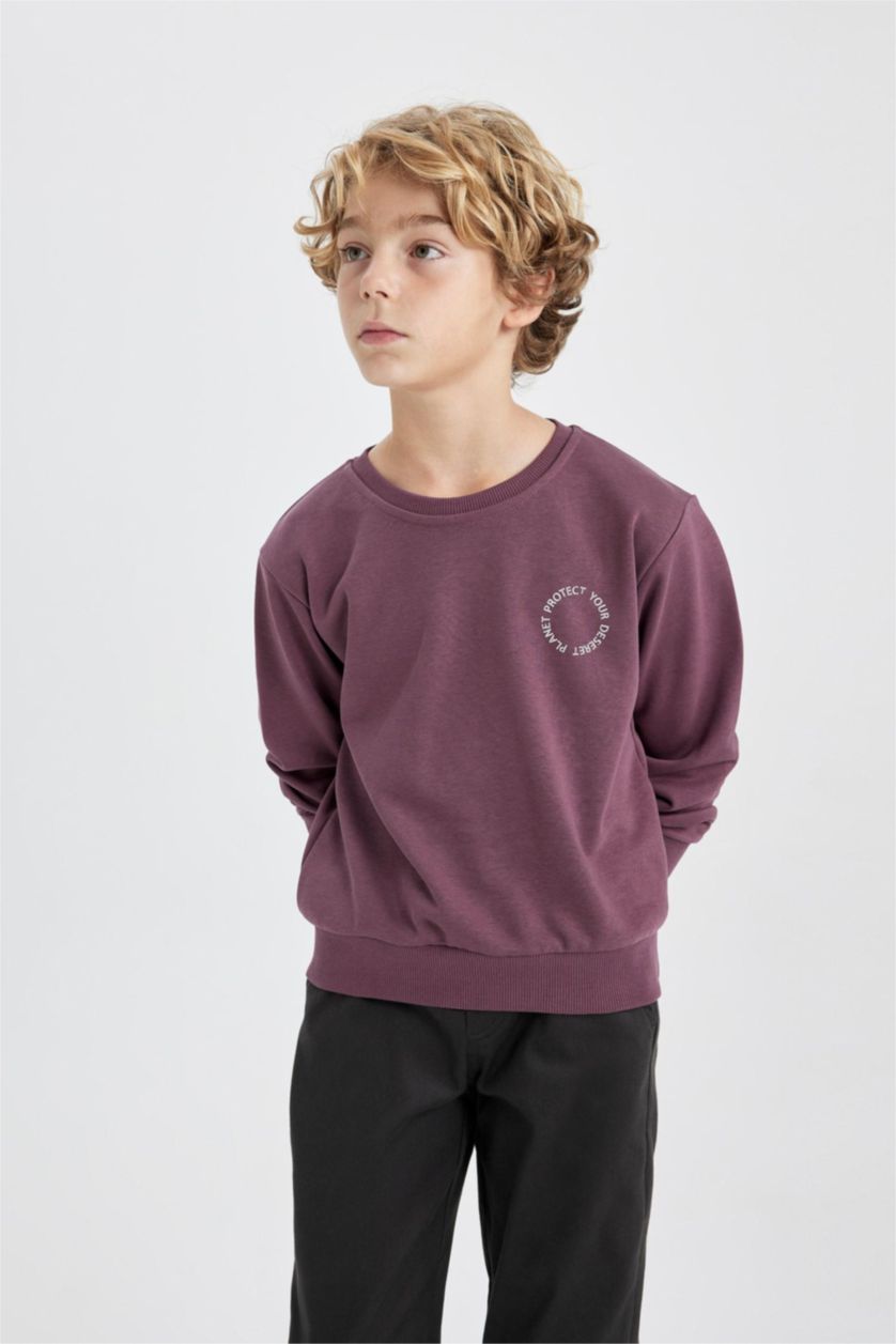 BOYS & TEENS Dark Purple Boy Crew Neck Back Printed Sweatshirt