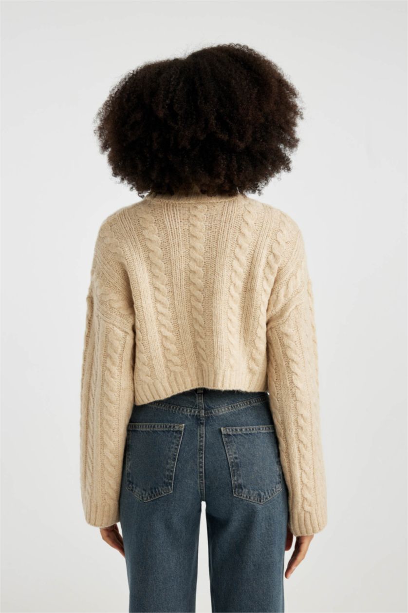 Женщины Бежевый Трикотажный свитер обычной посадки с воротником под горло