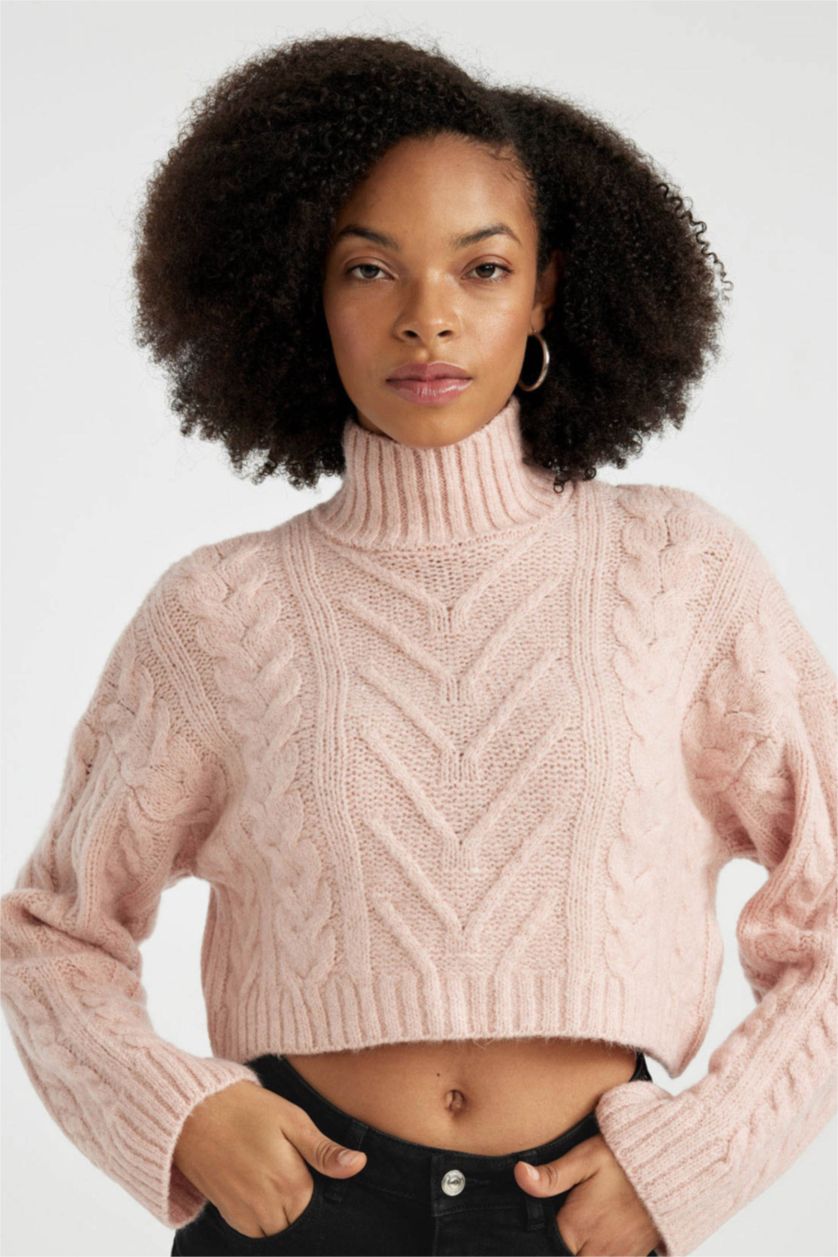Woman Rose Regular Fit Half Turtleneck Knitted Pullover