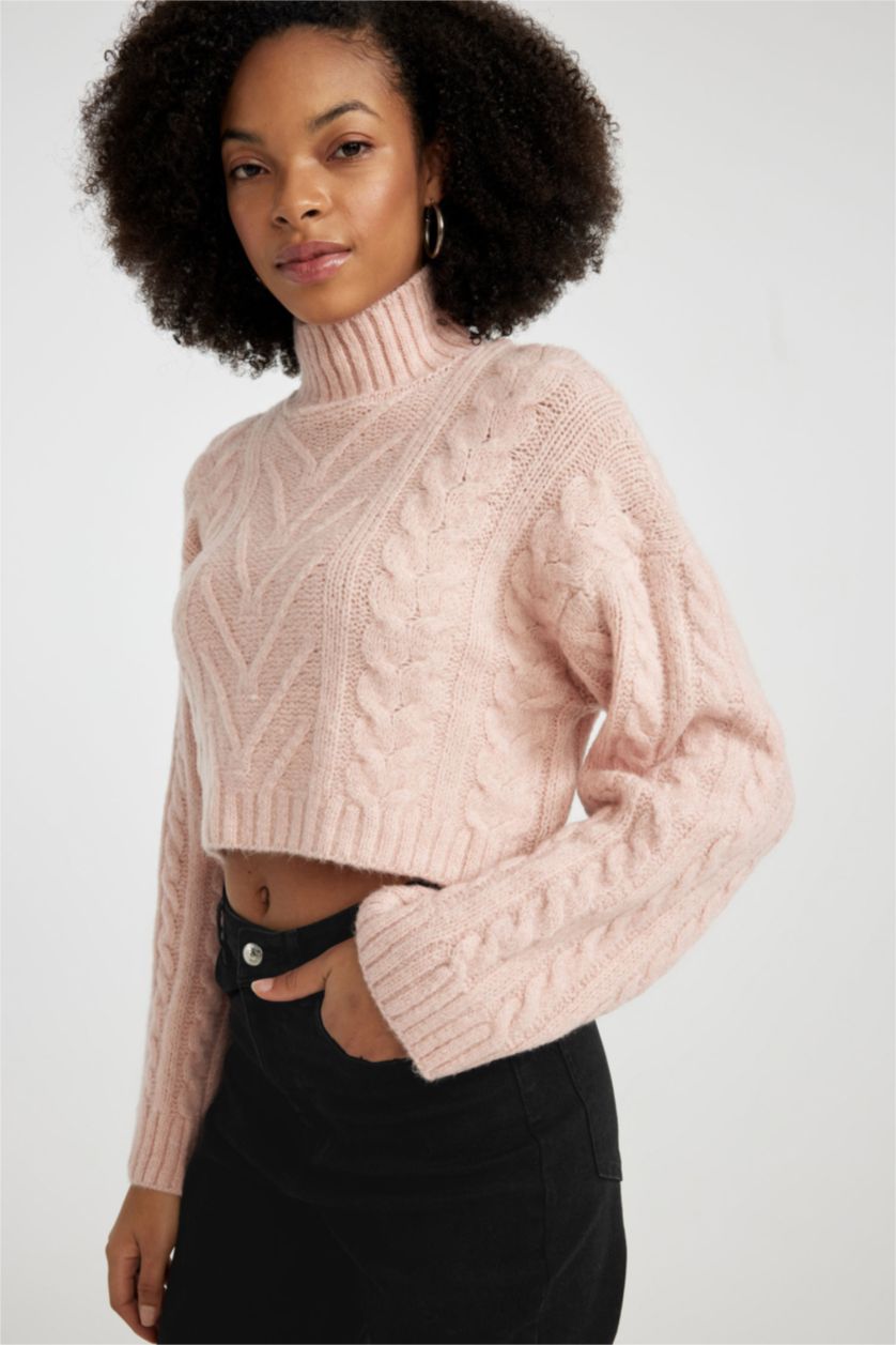 Woman Rose Regular Fit Half Turtleneck Knitted Pullover