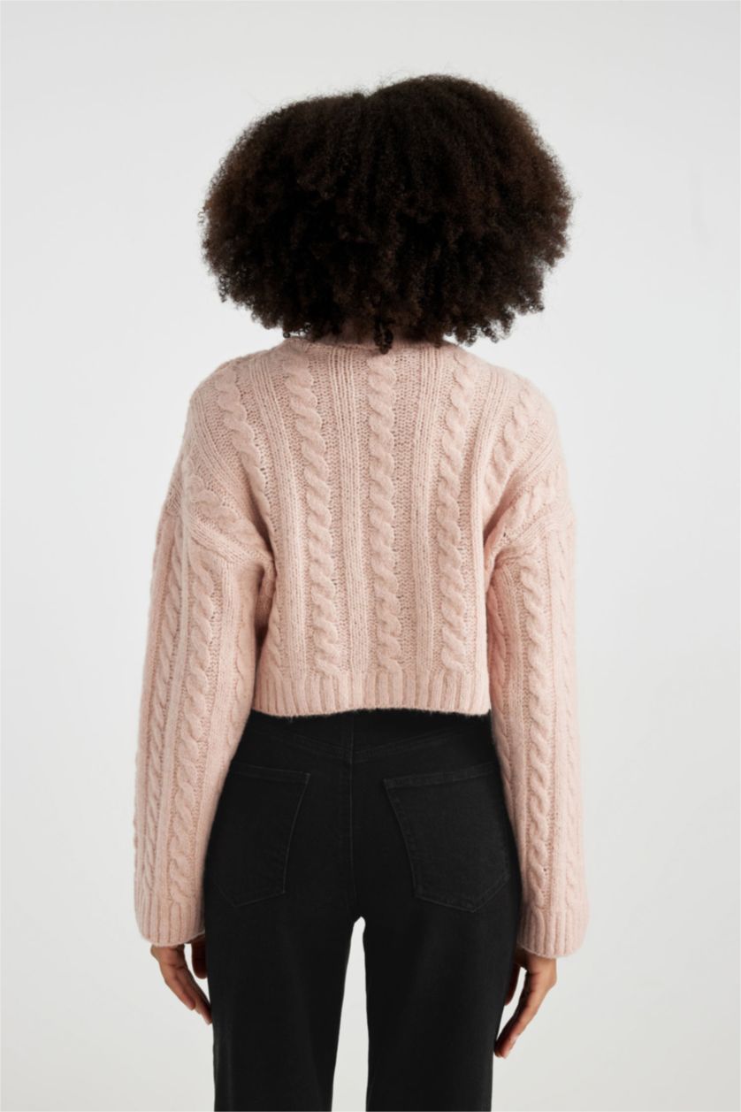 Woman Rose Regular Fit Half Turtleneck Knitted Pullover