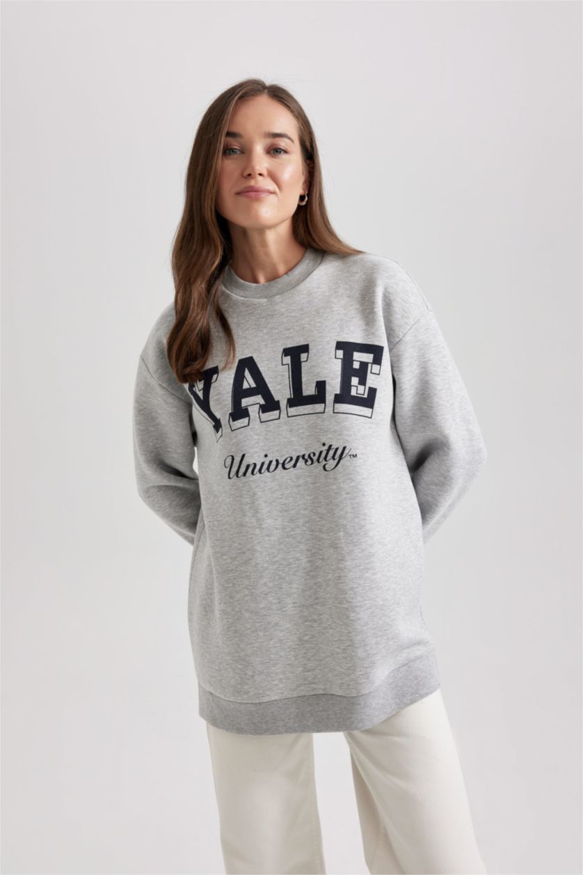 Kadın Gri Melanj Regular Fit Bisiklet Yaka Baskılı İçi Yumuşak Tüylü Sweatshirt Tunik