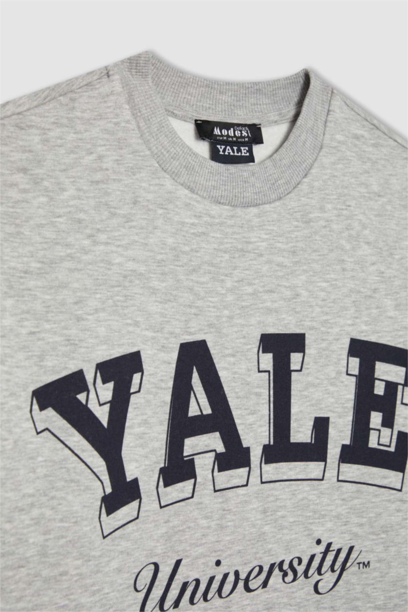 Kadın Gri Melanj Regular Fit Bisiklet Yaka Baskılı İçi Yumuşak Tüylü Sweatshirt Tunik