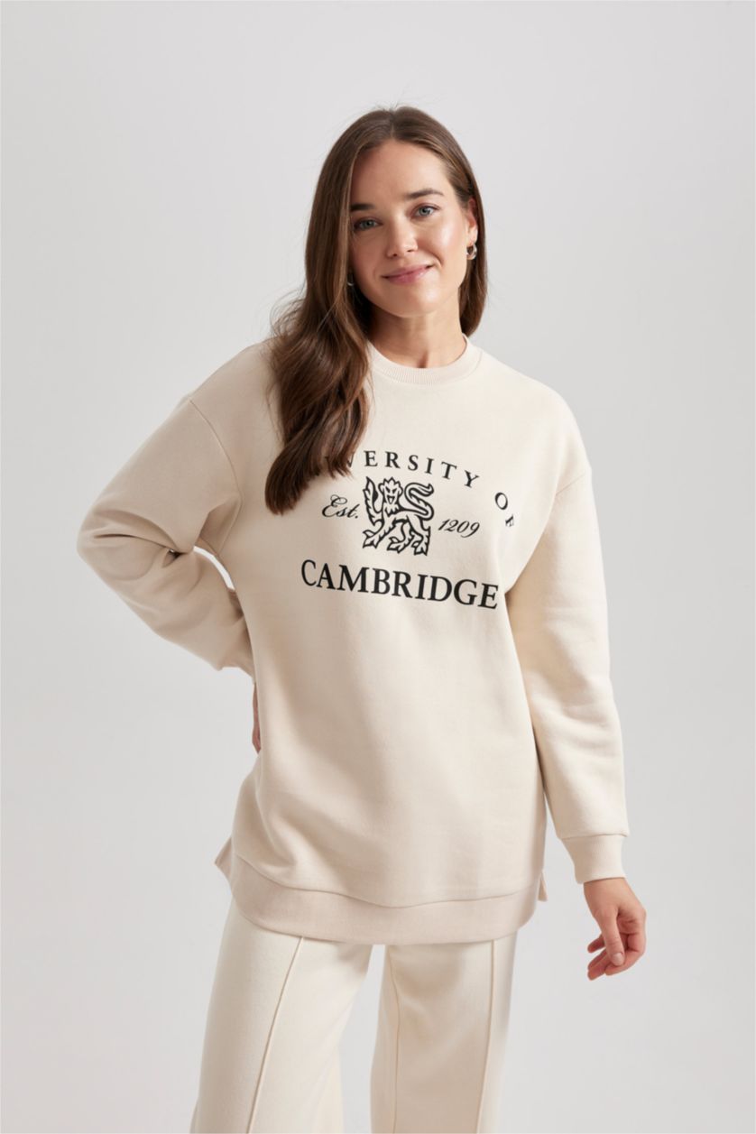 WOMAN Beige Regular Fit Crew Neck Printed Soft Fluffy Inside Sweatshirt Tunic