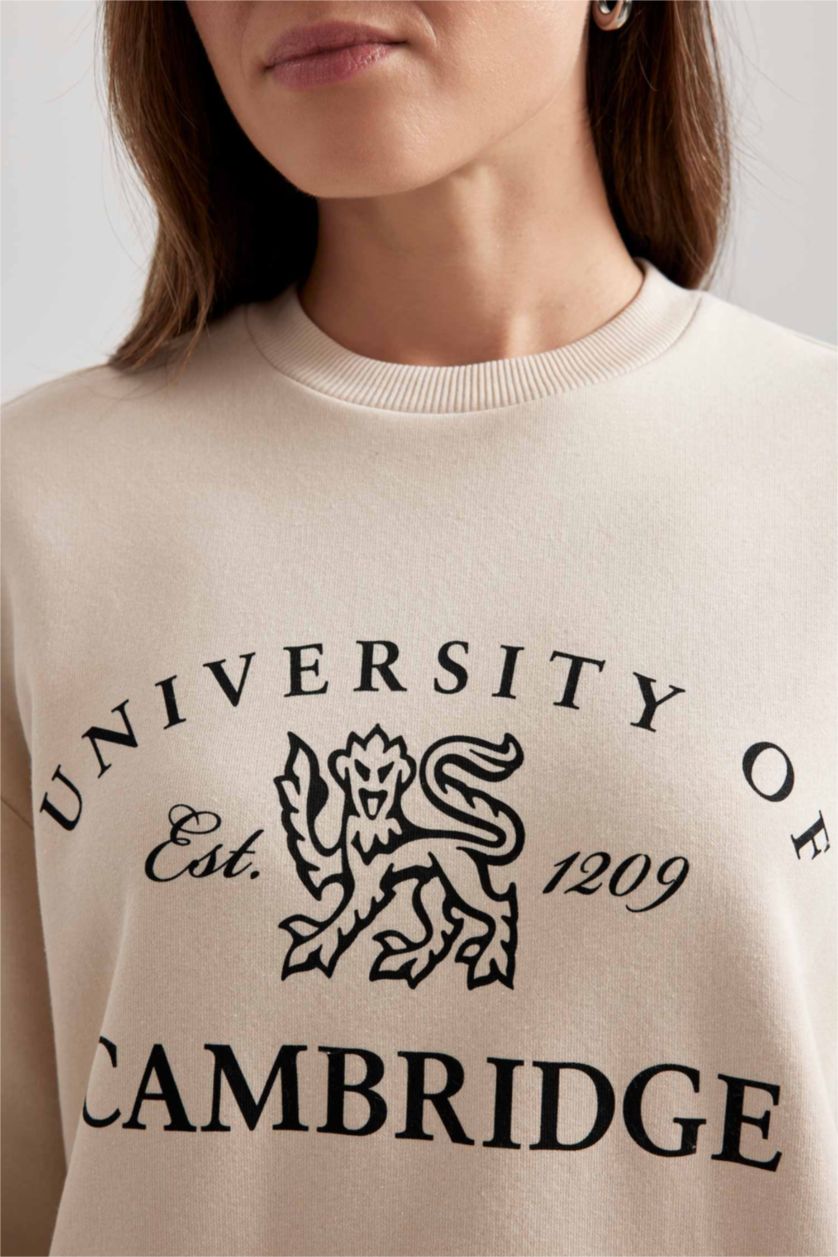 WOMAN Beige Regular Fit Crew Neck Printed Soft Fluffy Inside Sweatshirt Tunic