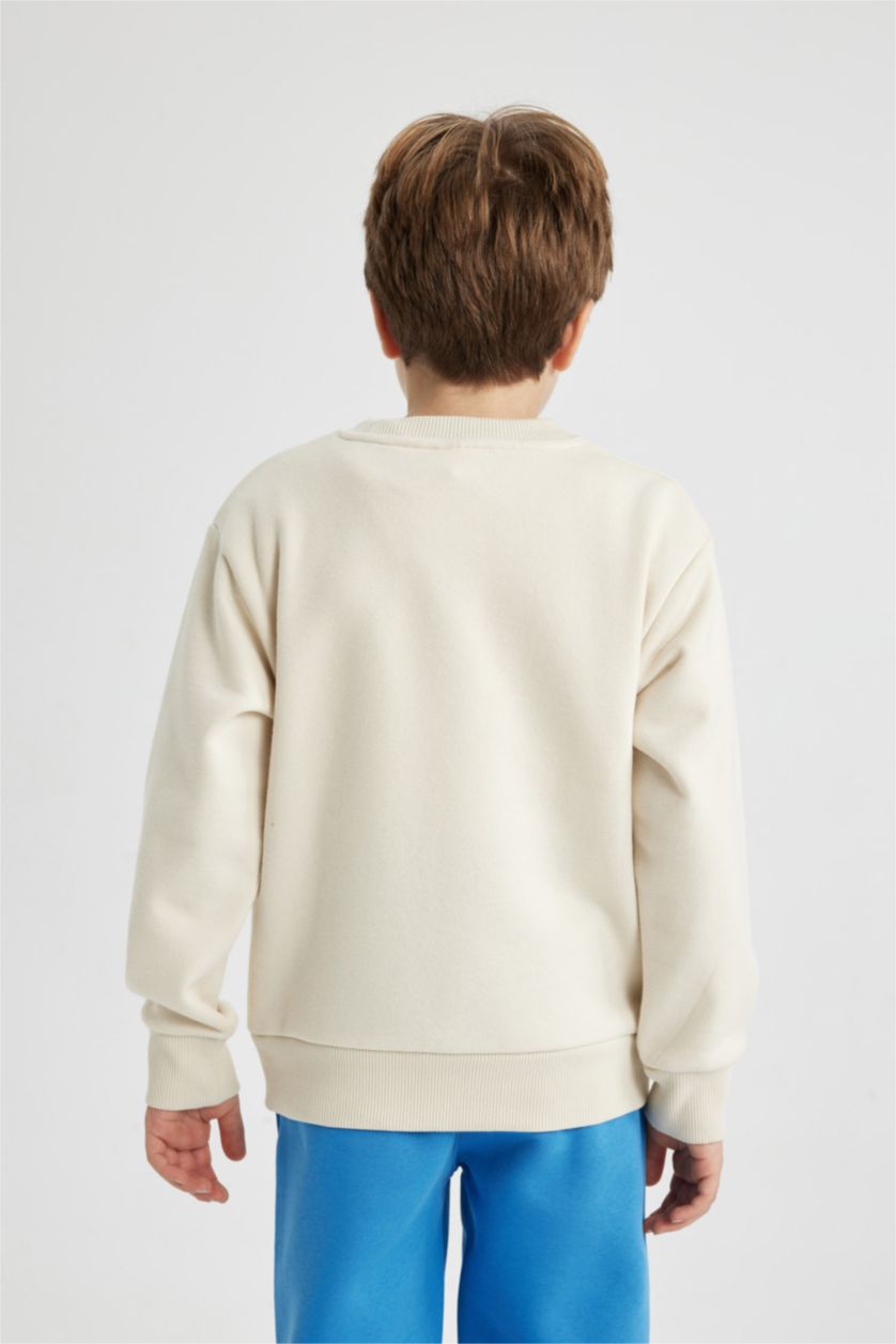 BOYS & TEENS Stone Boy Crew Neck Printed Thick Sweatshirt