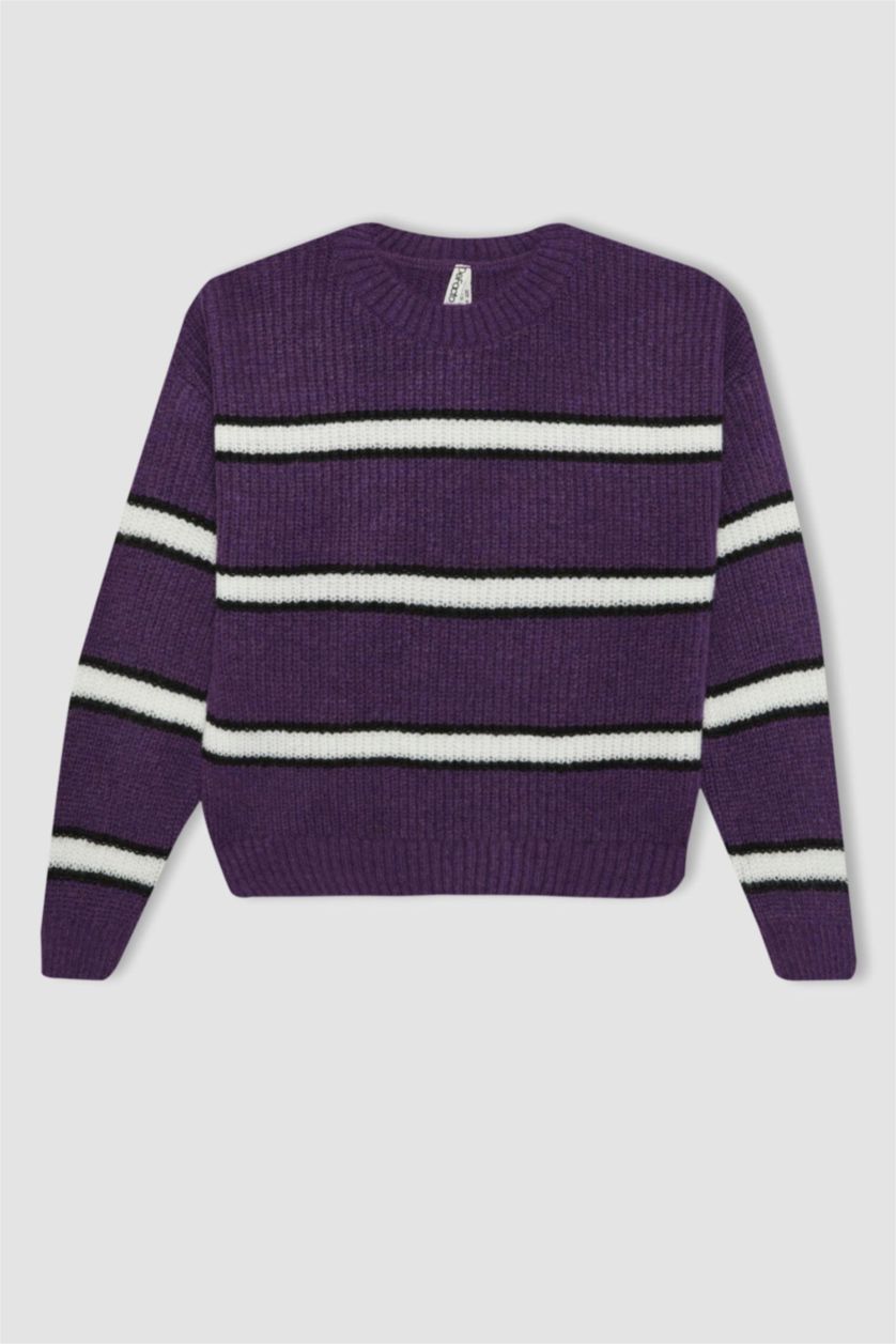 Girls & Teens Lilac Girl Crew Neck Striped Knitted Pullover