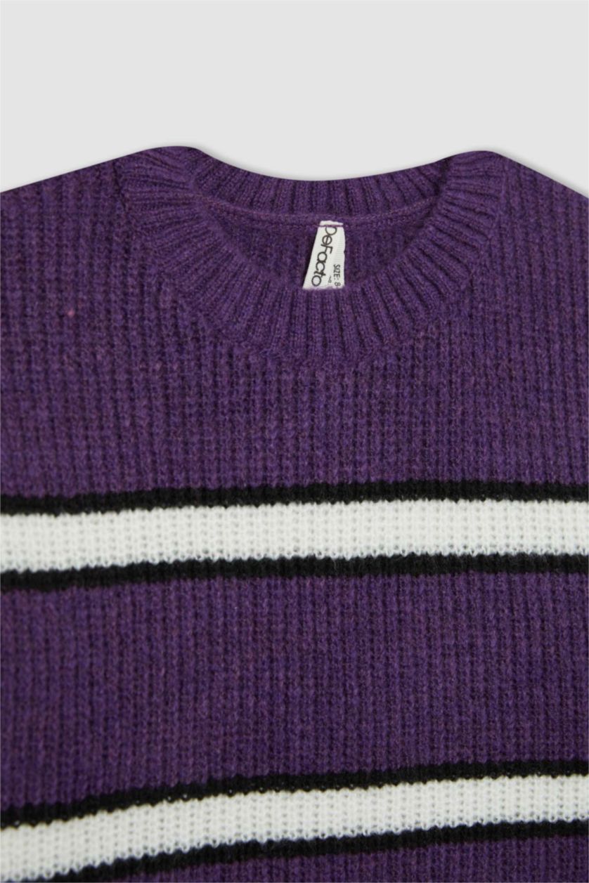 Girls & Teens Lilac Girl Crew Neck Striped Knitted Pullover