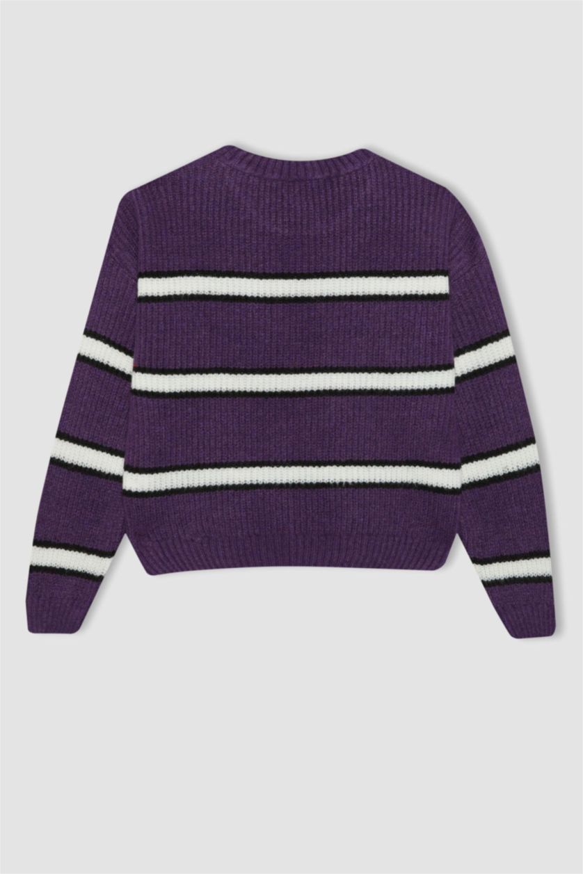 Girls & Teens Lilac Girl Crew Neck Striped Knitted Pullover