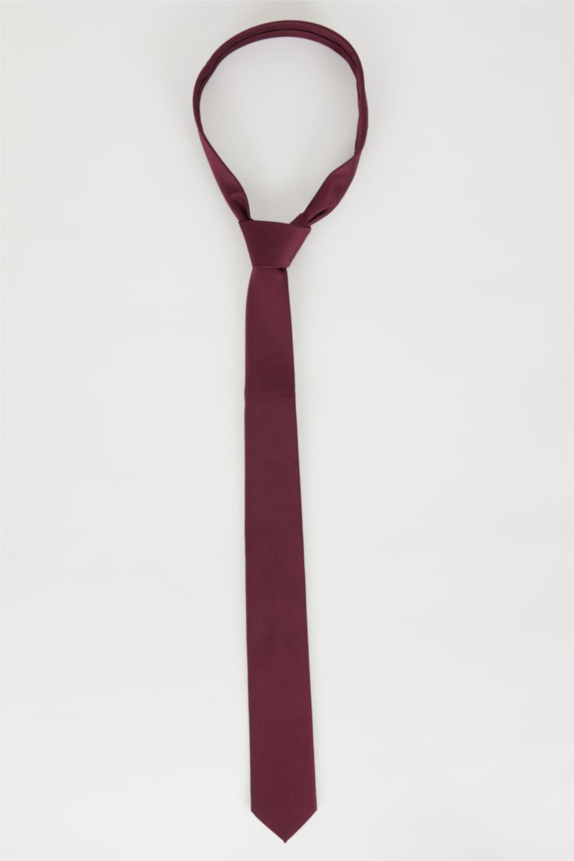Men Bordeaux Melange Men Tie