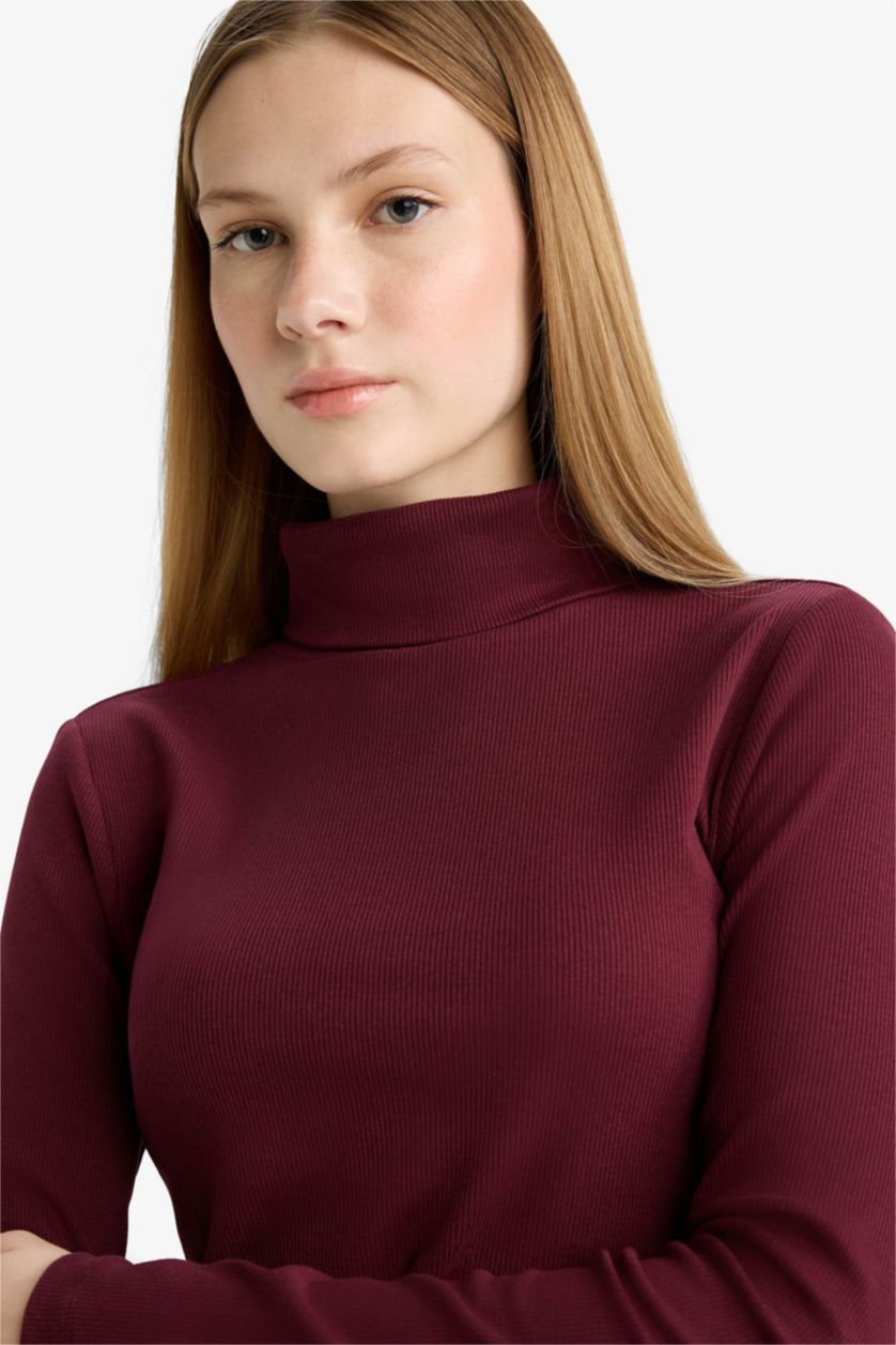 Женщины Бордовый Coool облегающая, полуводолазка, в полоску, кашкорсе, длинный рукав, футболка