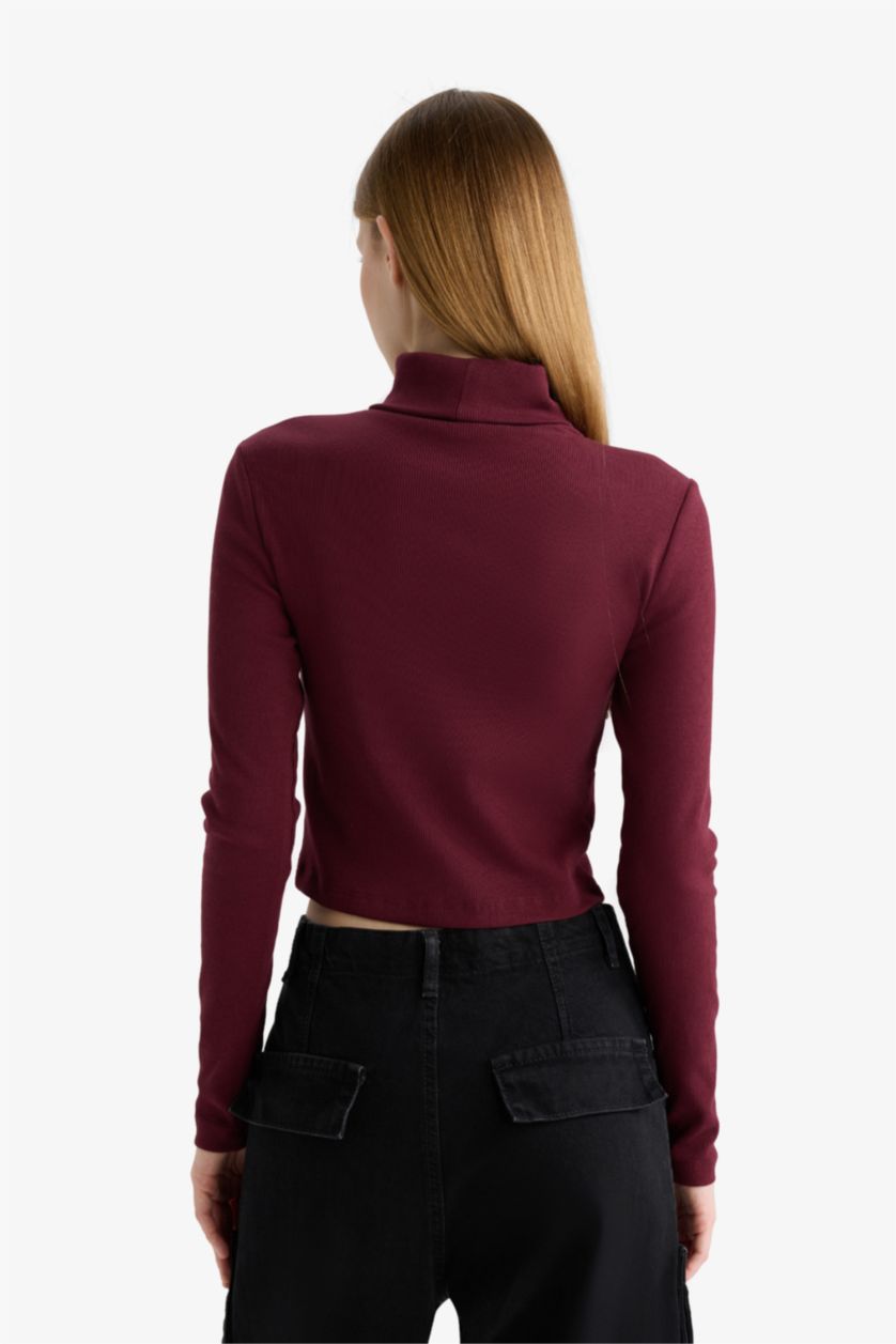 Женщины Бордовый Coool облегающая, полуводолазка, в полоску, кашкорсе, длинный рукав, футболка