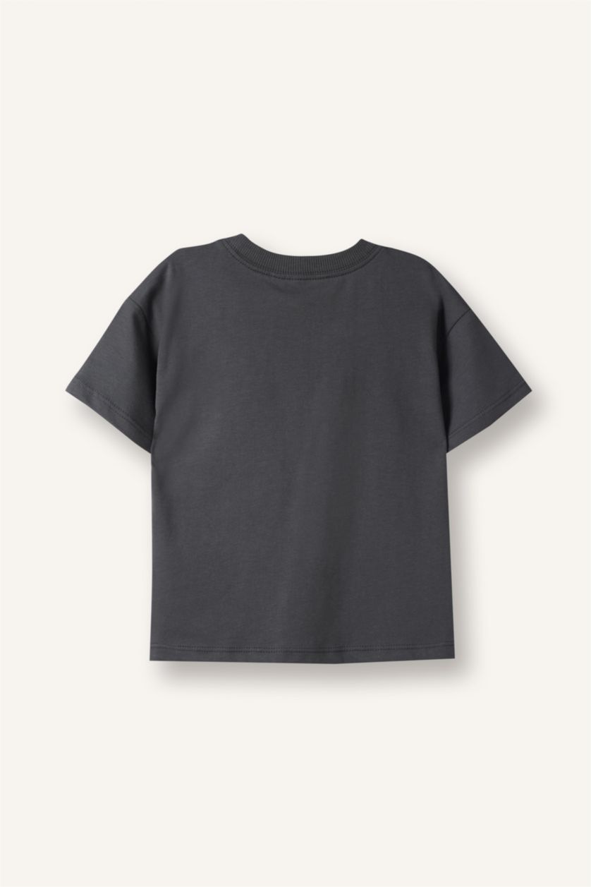 Erkek Bebek Gri Regular Fıt Bisiklet Yaka Kısa Kollu Tişört Erkek Bebek