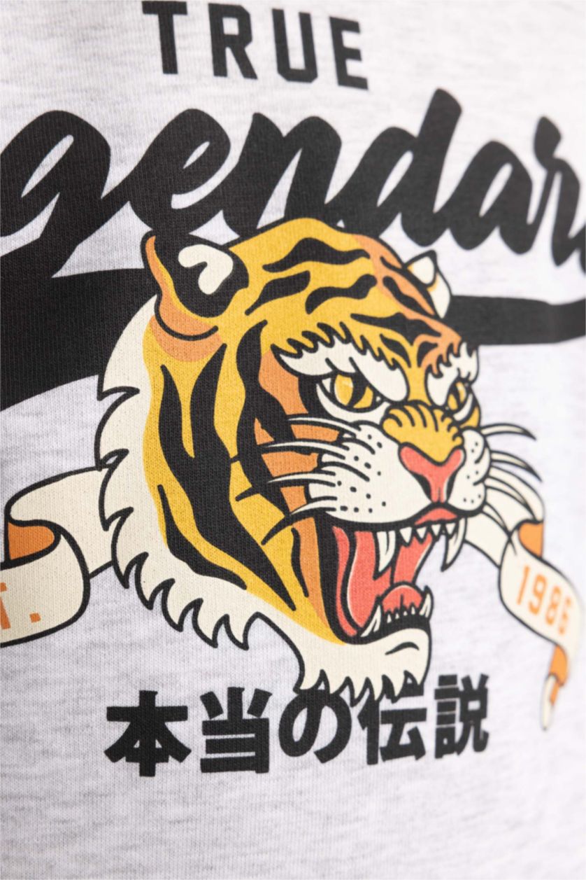 BOYS & TEENS Light Grey Melange Boy Regular Fit Hooded Sweatshirt