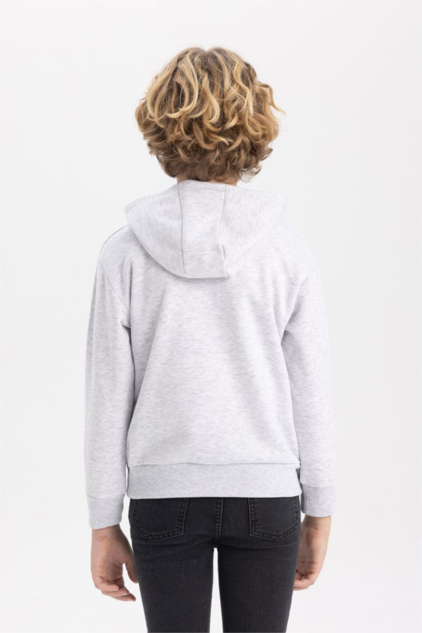 BOYS & TEENS Light Grey Melange Boy Regular Fit Hooded Sweatshirt
