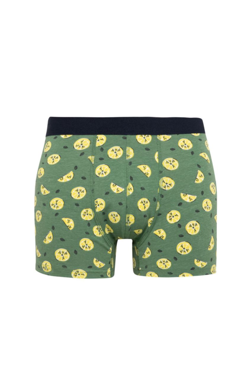 رجالي أخضر Regular Fit 3 piece
