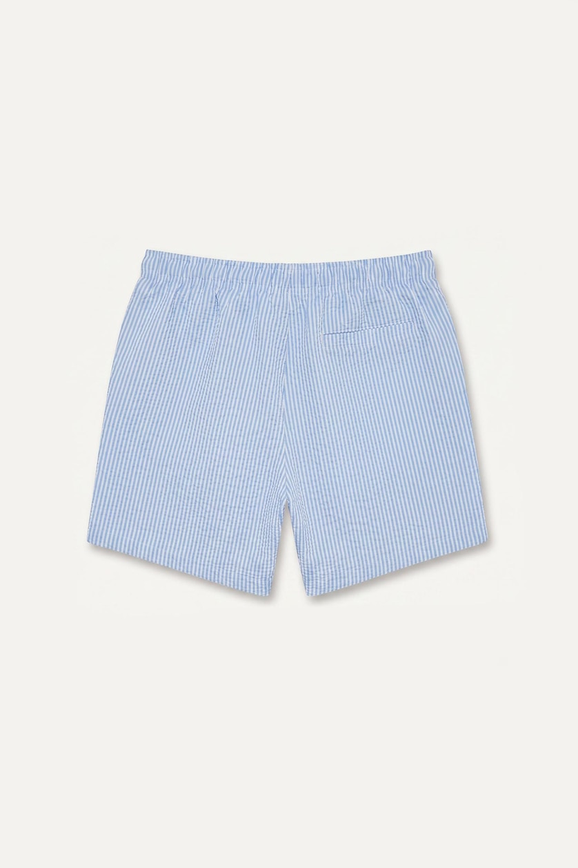 Men Light Blue Striped Short Swim Shorts