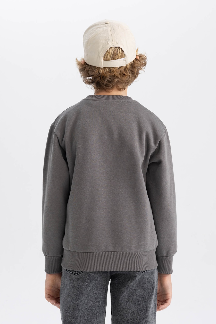 Young Boys - Teen Boys Dark Grey Boy Regular Fit Crew Neck Sweatshirt