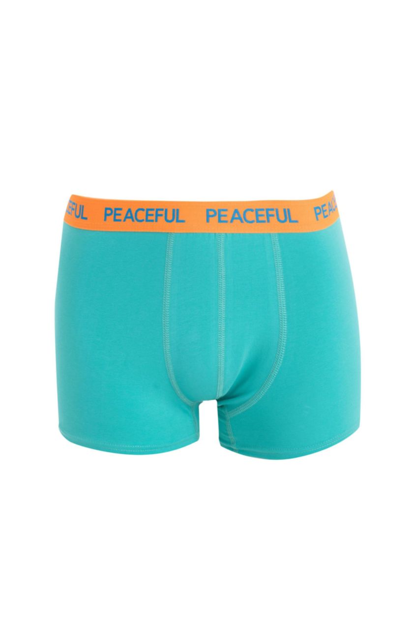 MAN Green 3 piece Regular Fit Boxer